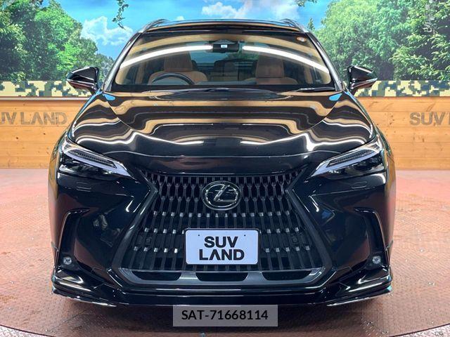 Lexus NX 2023-06 7221096-15