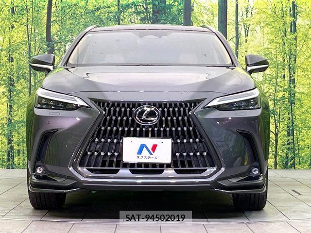 Lexus NX 2023-06 7221089-13