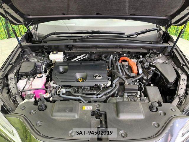 Lexus NX 2023-06 7221089-17