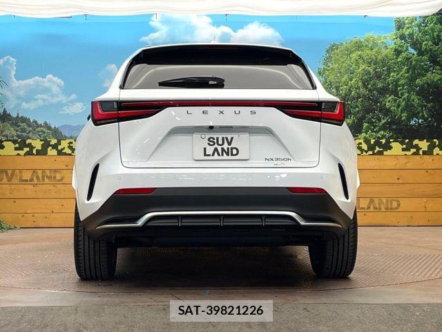 Lexus NX 2024-12 7328068-14