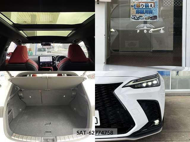 Lexus NX 2023-06 7328071-7