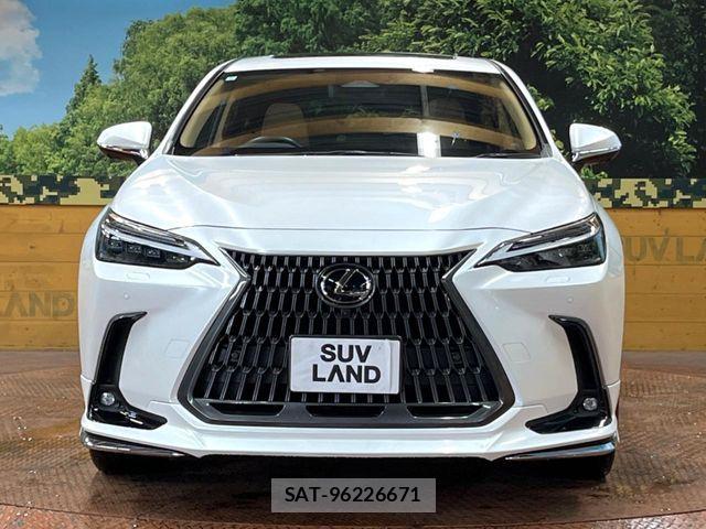 Lexus NX 2023-07 7358544-13