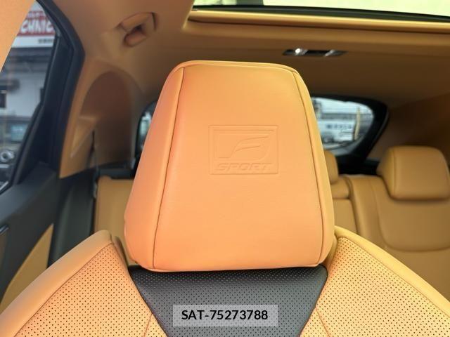 Lexus NX 2025-02 7358539-13