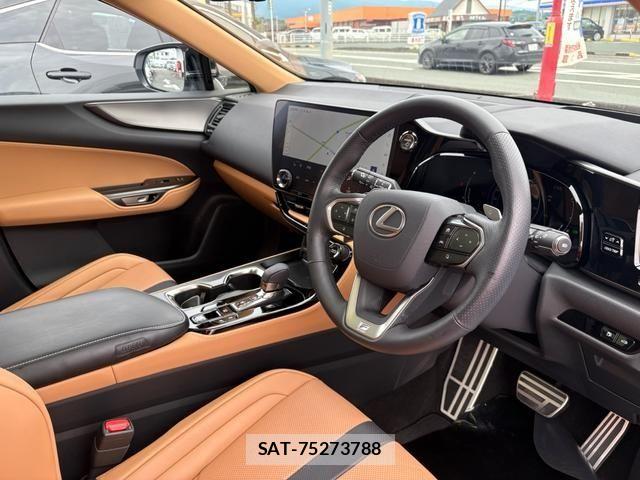 Lexus NX 2025-02 7358539-14