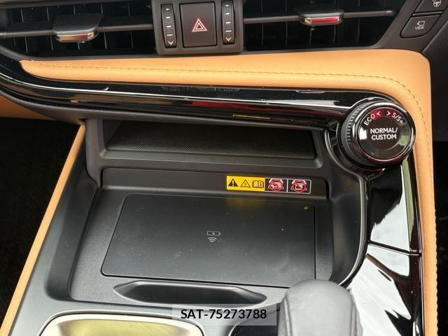 Lexus NX 2025-02 7358539-24