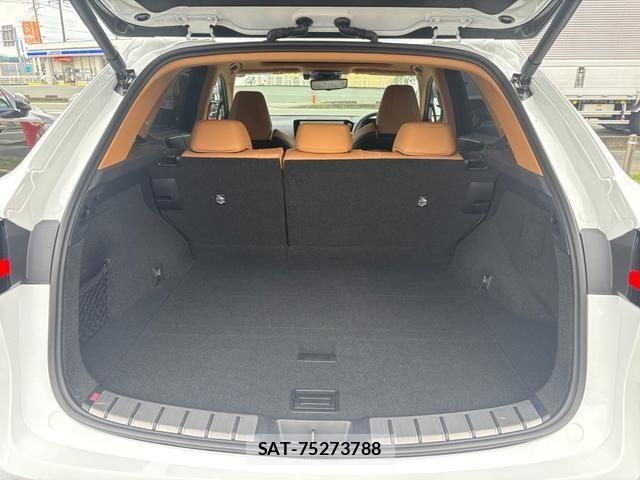 Lexus NX 2025-02 7358539-6