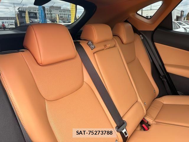 Lexus NX 2025-02 7358539-8