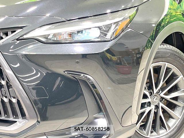 Lexus NX 2024-11 7392700-11