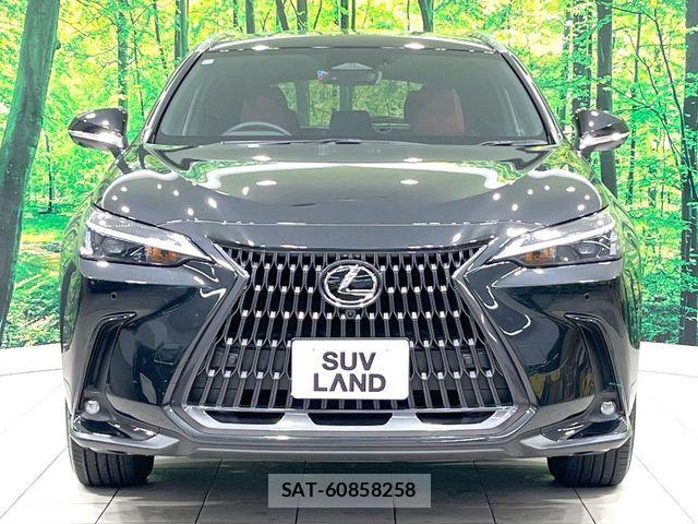 Lexus NX 2024-11 7392700-13