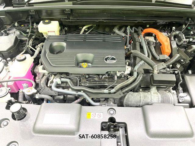 Lexus NX 2024-11 7392700-17