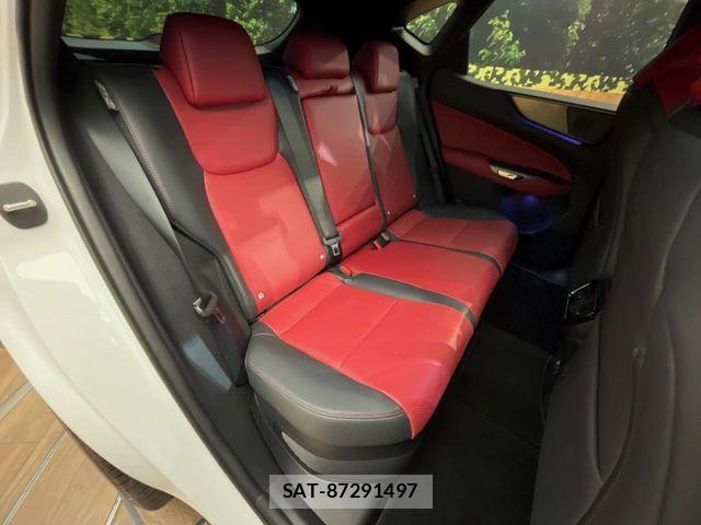 Lexus NX 2024-08 7455442-11