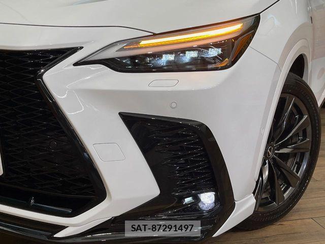 Lexus NX 2024-08 7455442-13