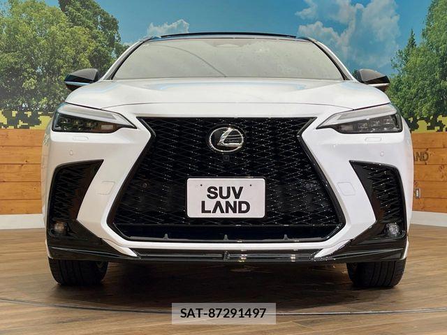 Lexus NX 2024-08 7455442-15