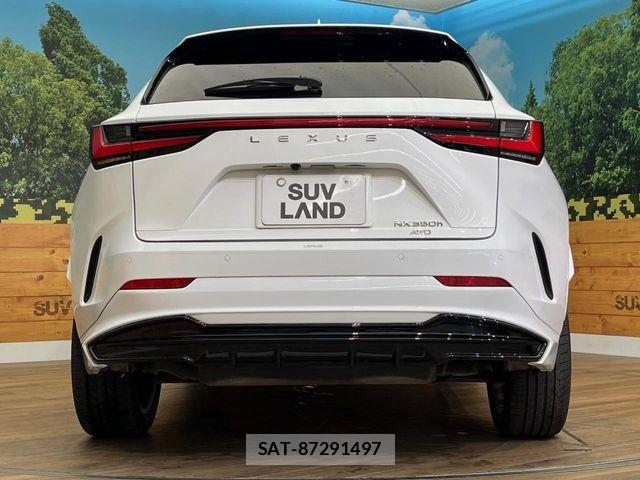 Lexus NX 2024-08 7455442-16
