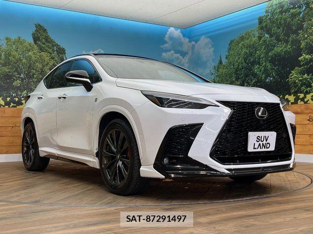 Lexus NX 2024-08 7455442-17