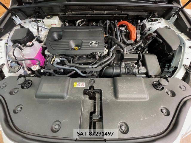 Lexus NX 2024-08 7455442-19