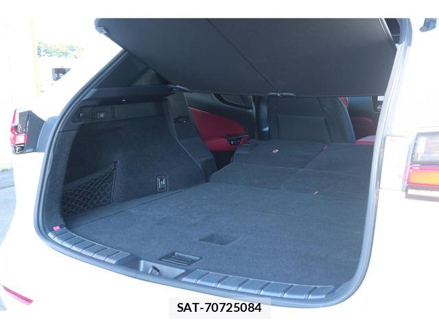 Lexus NX 2023-04 7455452-29