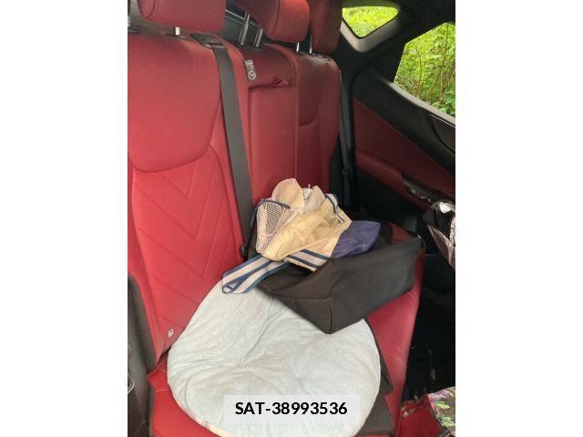 Lexus NX 2023-09 7455453-19