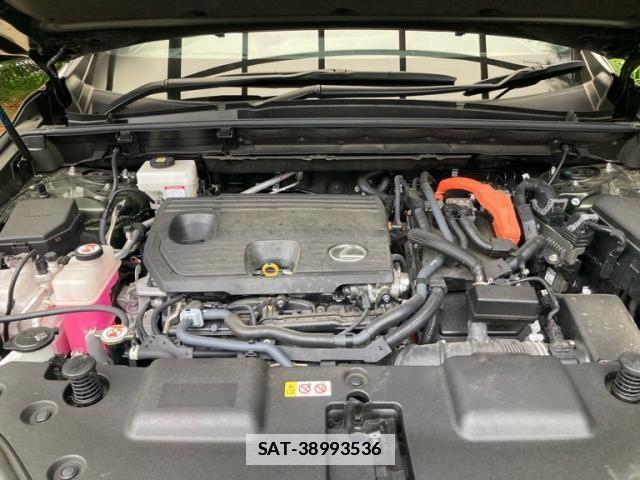 Lexus NX 2023-09 7455453-21