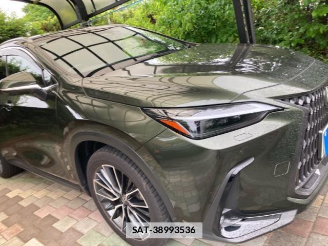 Lexus NX 2023-09 7455453-1