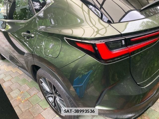Lexus NX 2023-09 7455453-4