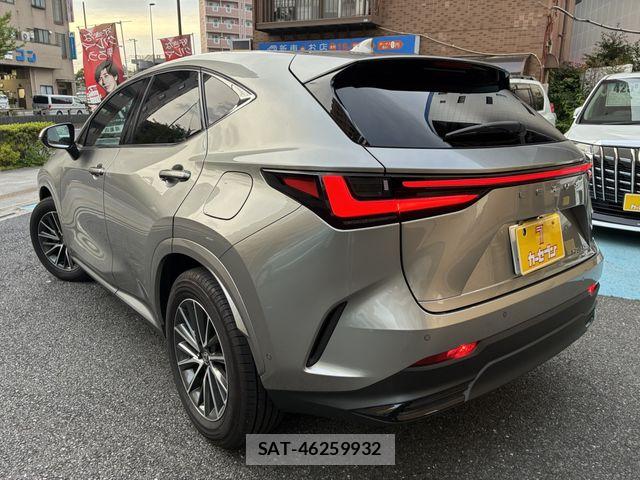 Lexus NX 2025-03 7509048-28