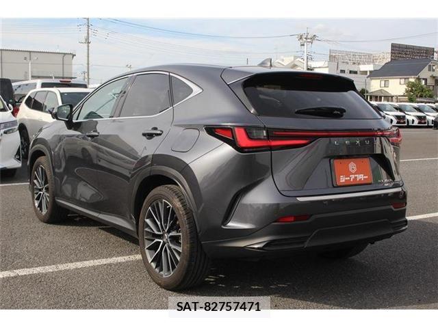 Lexus NX 2022-02 7509047-10