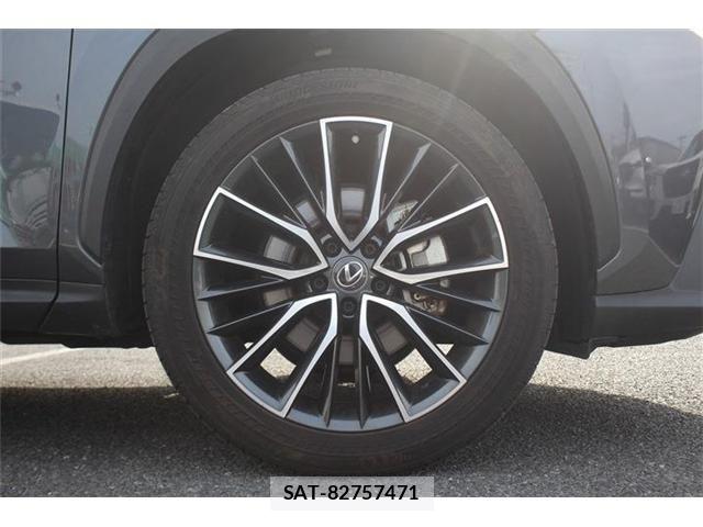Lexus NX 2022-02 7509047-14