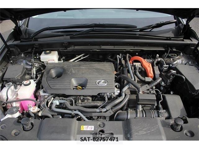 Lexus NX 2022-02 7509047-29