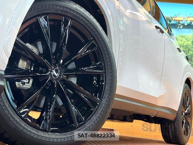 Lexus NX 2025-07 7562370-13