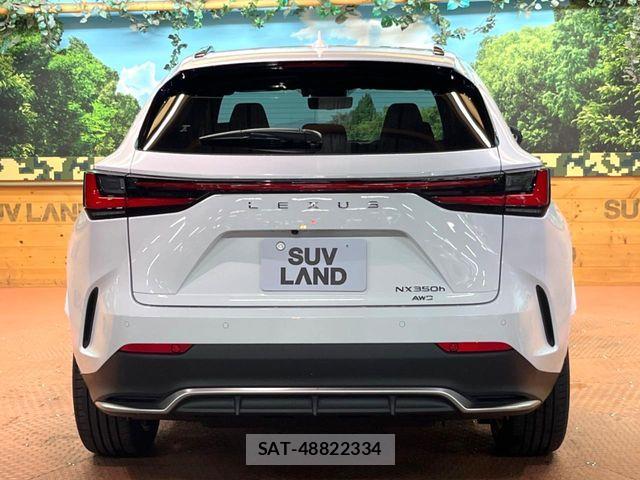 Lexus NX 2025-07 7562370-15