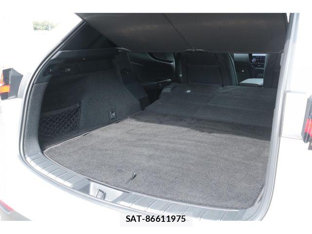 Lexus NX 2023-01 7617714-29