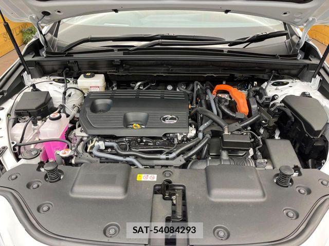Lexus NX 2025-04 7617708-17