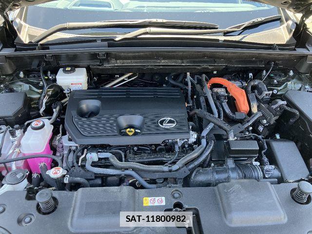 Lexus NX 2023-05 7725163-22