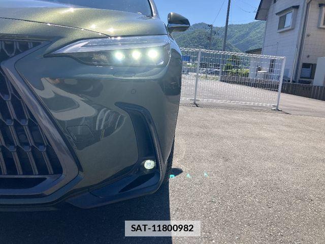 Lexus NX 2023-05 7725163-23