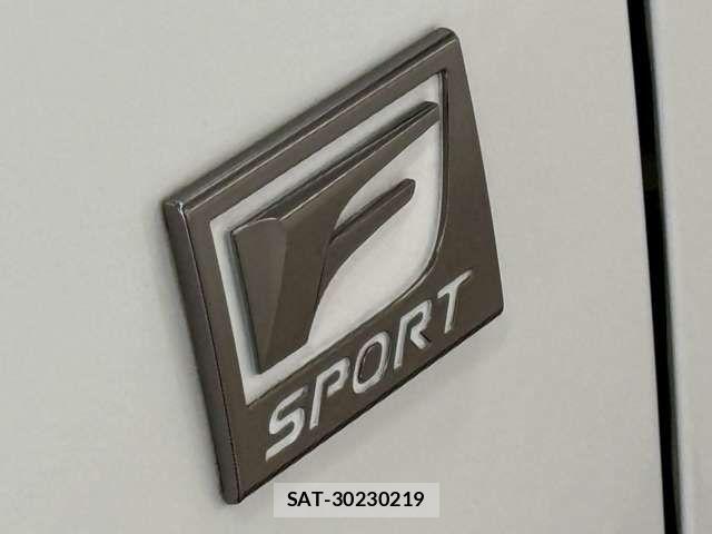 Lexus NX 2024-01 7725155-11