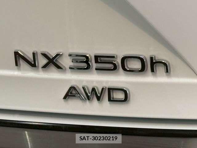 Lexus NX 2024-01 7725155-12