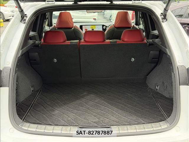 Lexus NX 2023-06 7725162-10