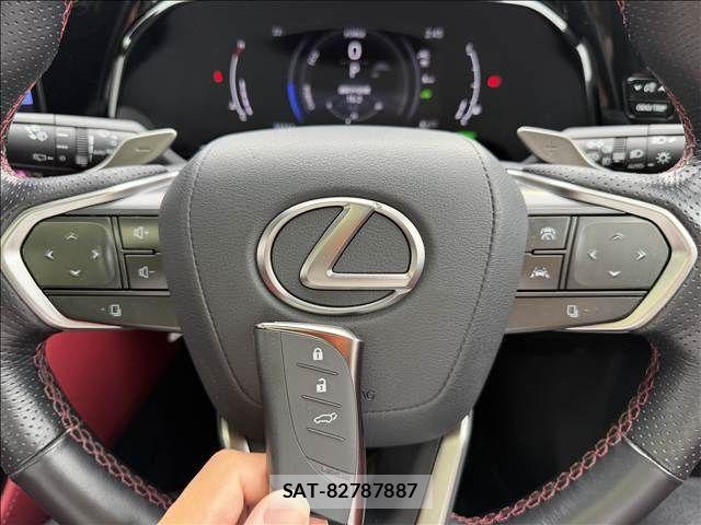 Lexus NX 2023-06 7725162-17