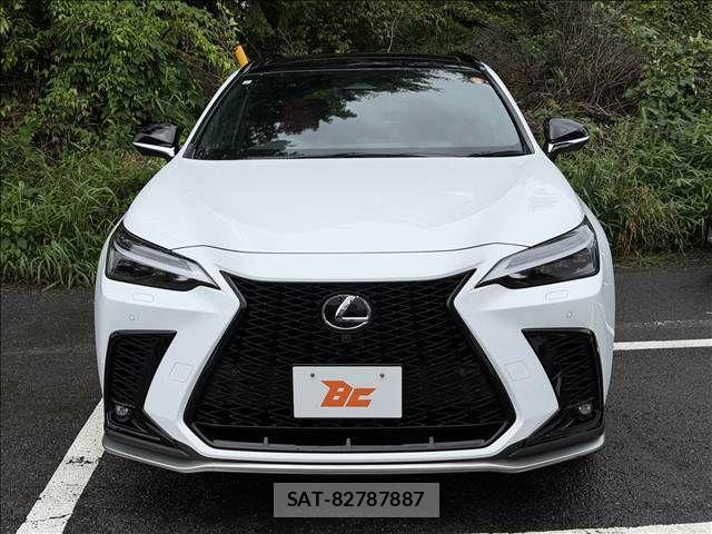 Lexus NX 2023-06 7725162-20