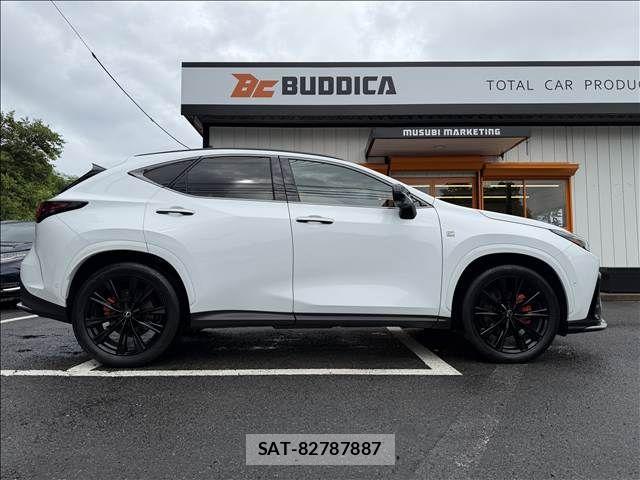 Lexus NX 2023-06 7725162-6