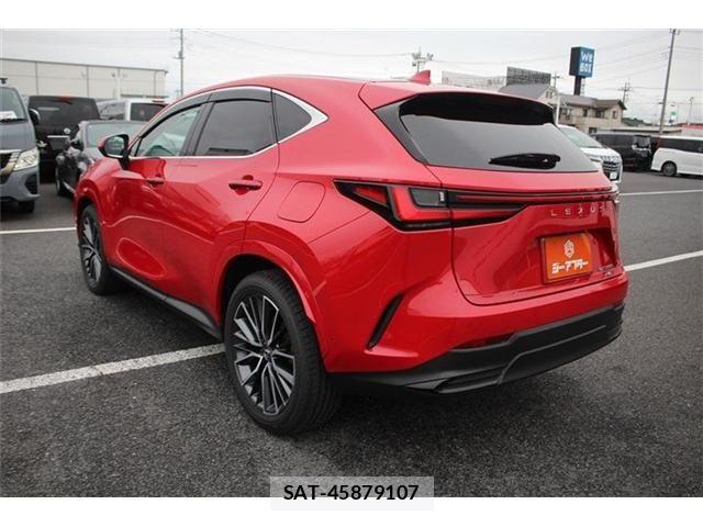 Lexus NX 2024-11 7725164-11