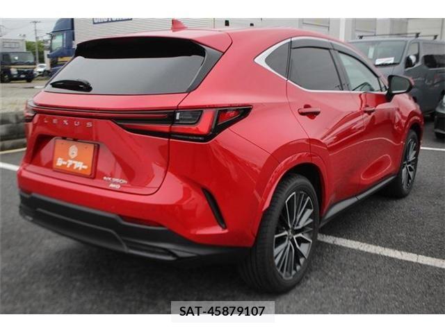 Lexus NX 2024-11 7725164-13