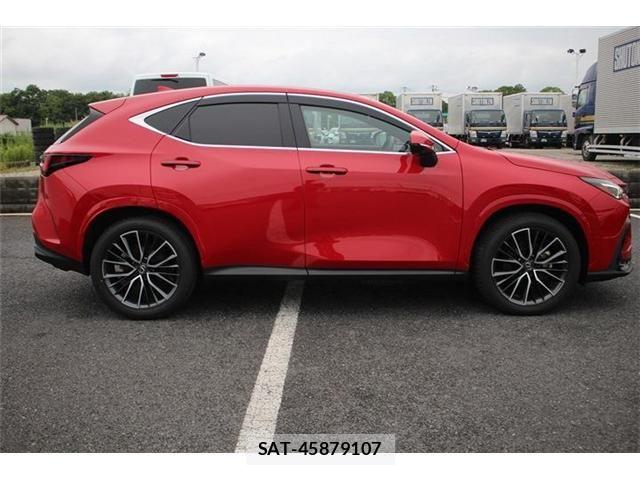 Lexus NX 2024-11 7725164-14