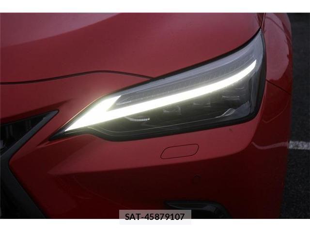 Lexus NX 2024-11 7725164-19