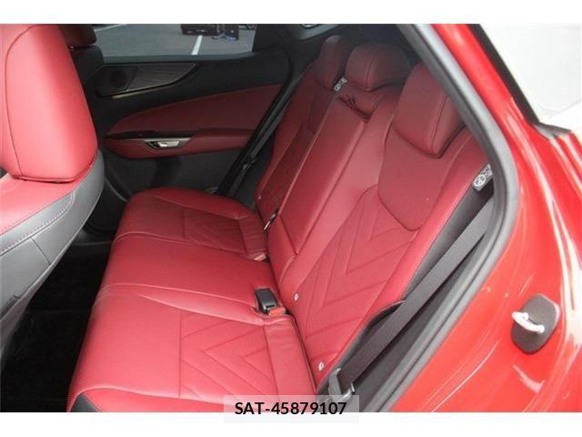Lexus NX 2024-11 7725164-25