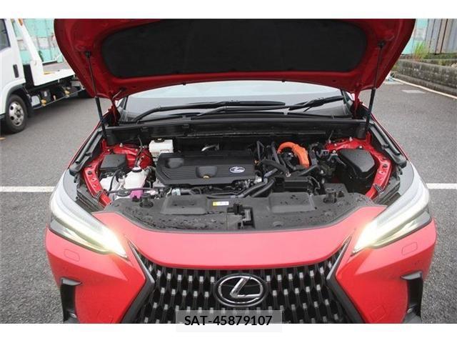 Lexus NX 2024-11 7725164-29