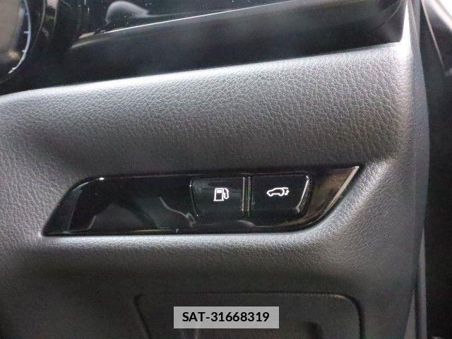 Lexus NX 2023-08 7725161-23
