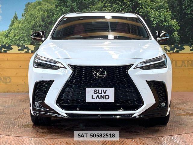 Lexus NX 2023-07 7725157-13