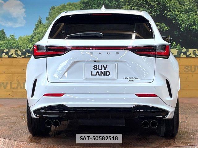 Lexus NX 2023-07 7725157-14